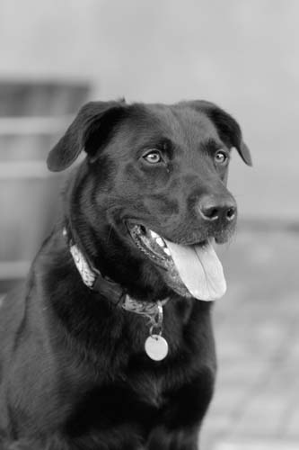 CRW_1460-B&W-