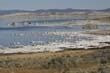MonoLake