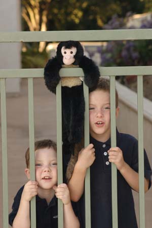 125-MonkeyingAround